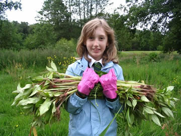 She's happy. We're happy. The balsam isn't.