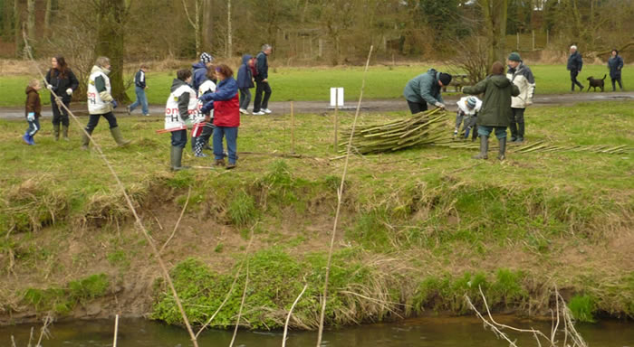Raising the willow